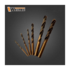 Wiertło HSS GOLD 4,1 WERTEC
