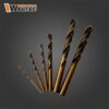 Wiertło HSS GOLD  9,0 WERTEC